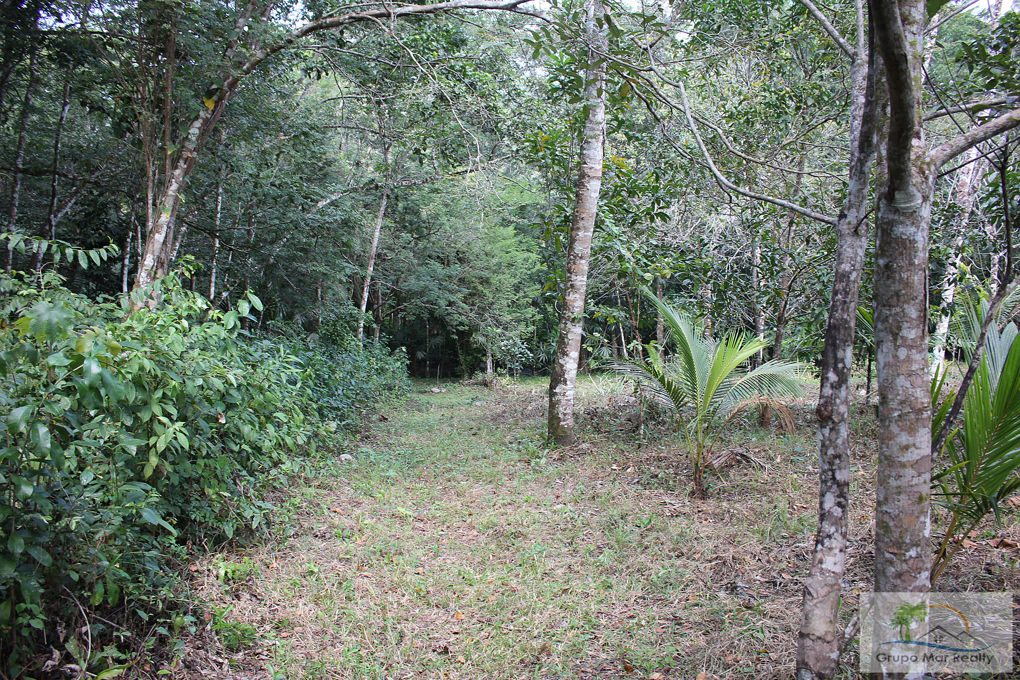 Trail on property