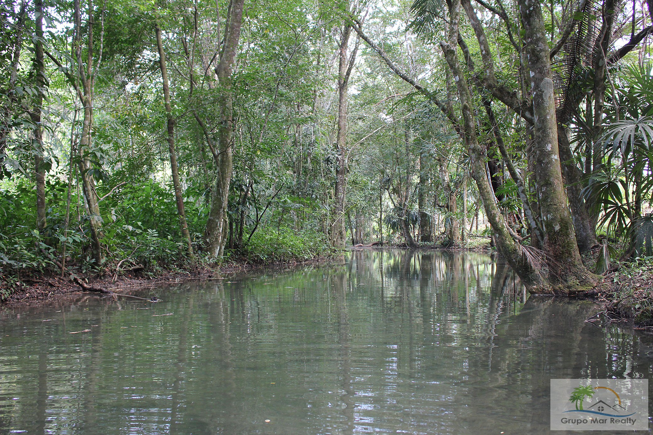 Little Barton Creek