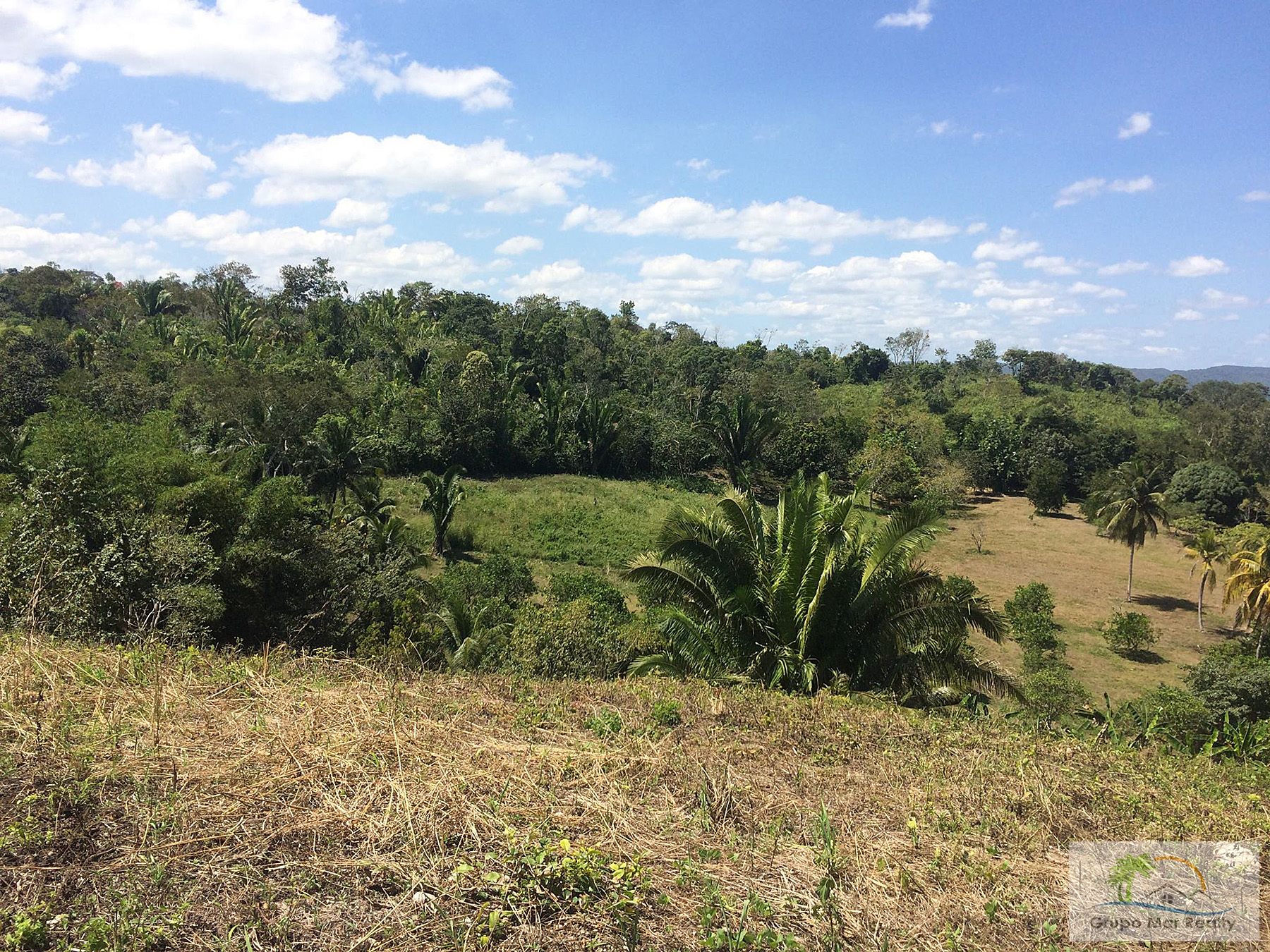 16 Acre Belize Farm - Grupo Mar Realty - Belize Farm Property