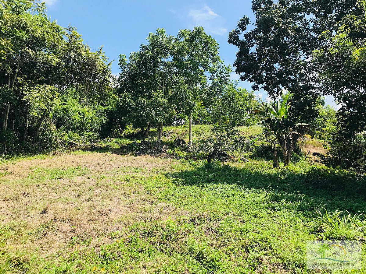 Belize Half Acre on Highway - Grupo Mar Realty