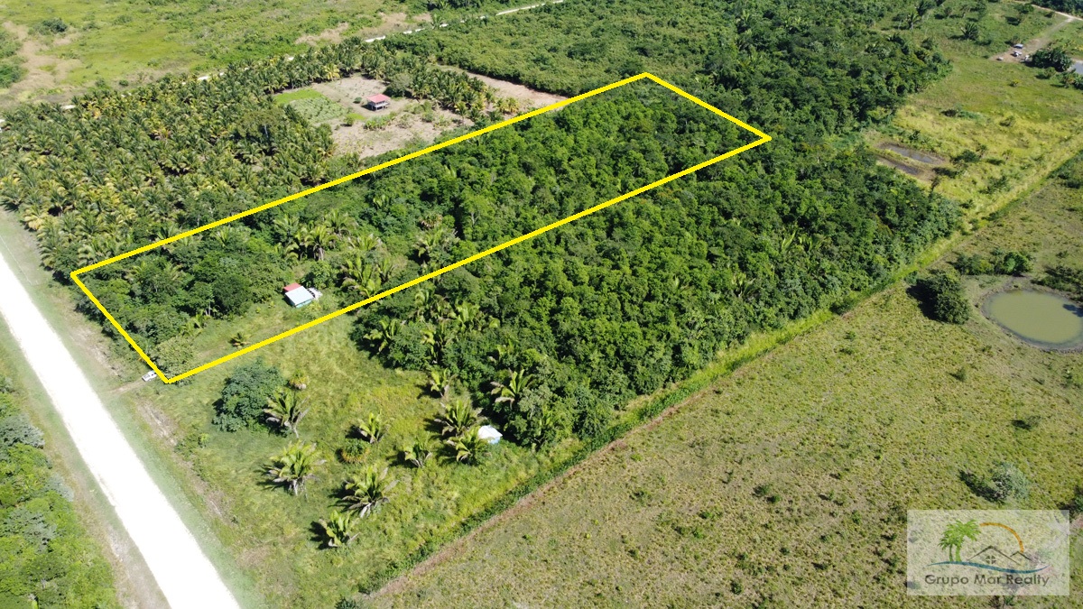 Belize 5 9 Acres Near Spanish Lookout Cayo Grupo Mar Realty   Belize 5 Acres Near Spanish Lookout 211 