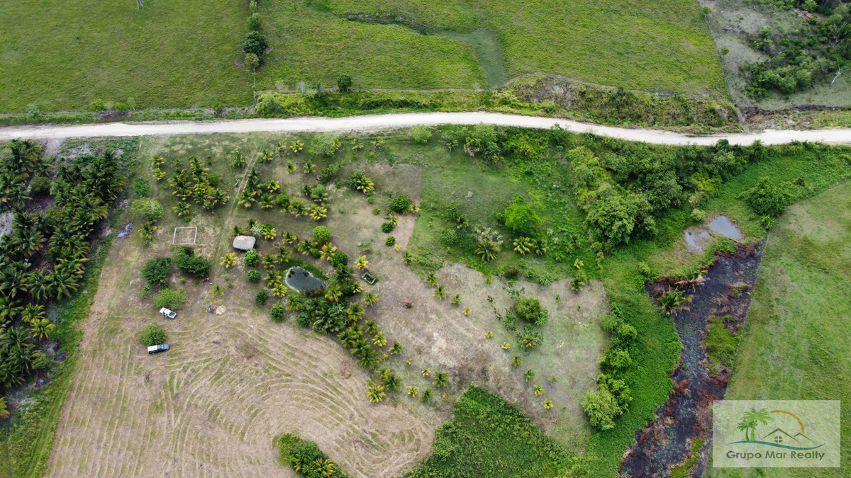 50 Acre Farm Near Spanish Lookout - Grupo Mar Realty