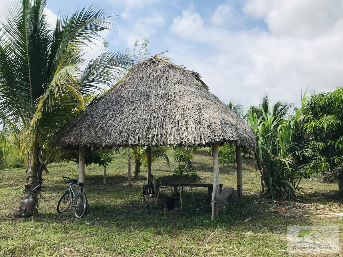 Buy, Sell or Trade in Cayo District Belize and Spanish Lookout Area.